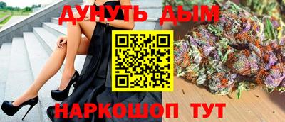 гидра Будённовск