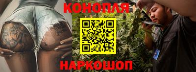 гидра Будённовск