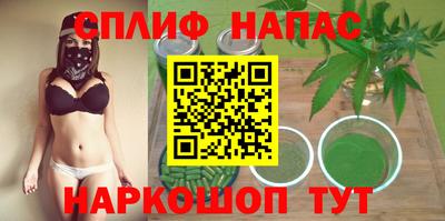 гидра Будённовск
