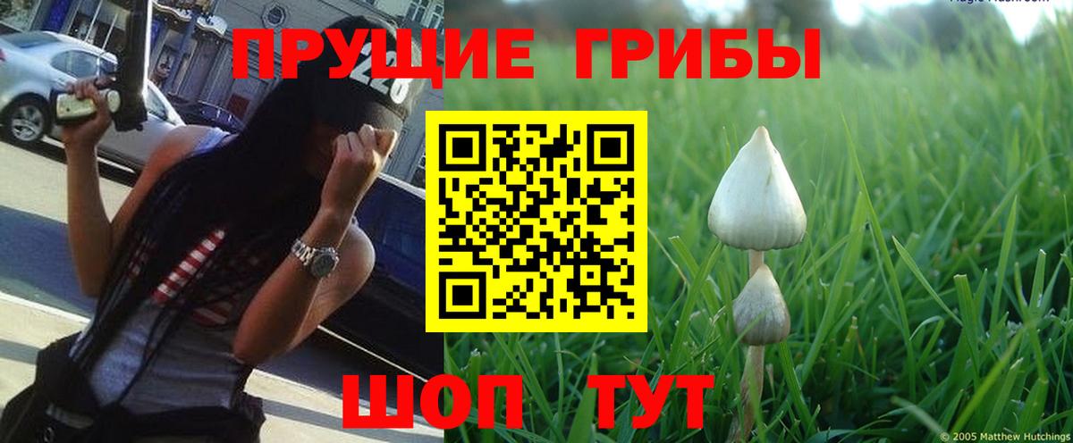Котлас  Псилоцибиновые грибы Cubensis  Галлюциногенные грибы ЛСД  Вход с VPN 